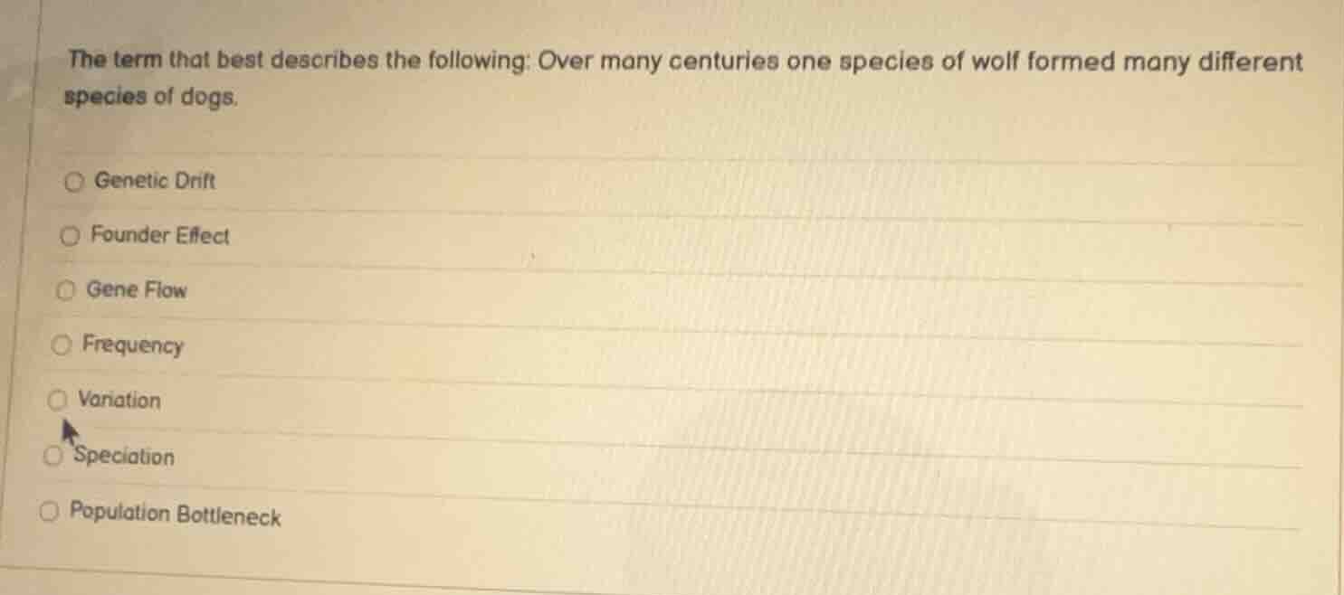 the term that best describes the following: over many centuries one spe…