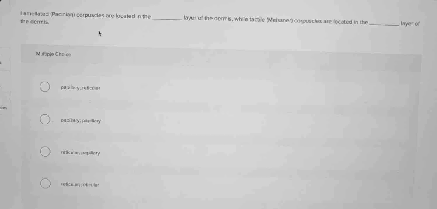 lamellated (pacinian) corpuscles are located in the _______ layer of th…