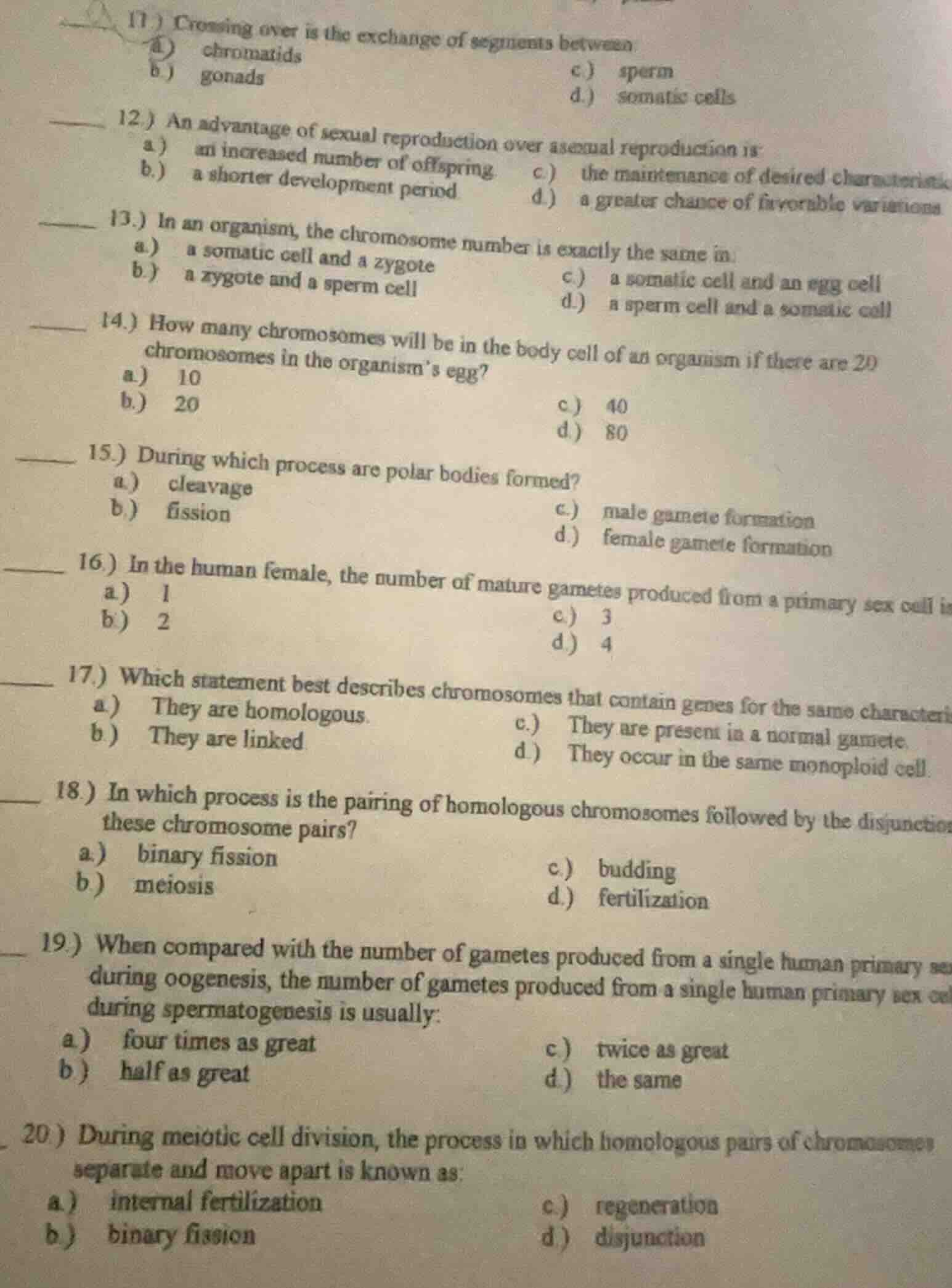11) crossing over is the exchange of segments between a) chromatids c) …