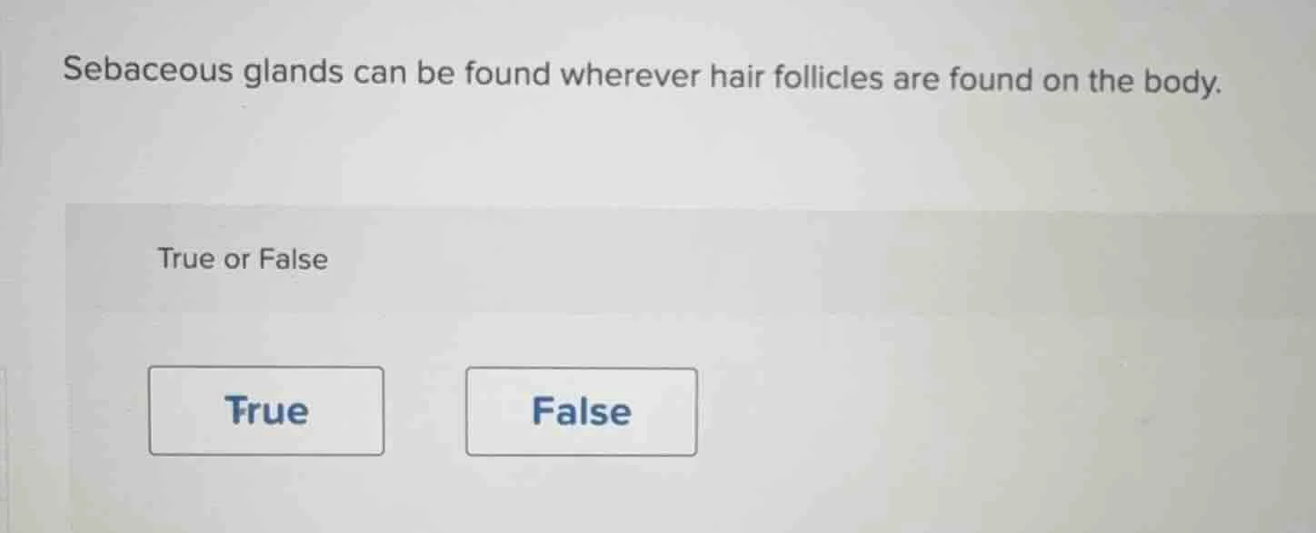 sebaceous glands can be found wherever hair follicles are found on the …