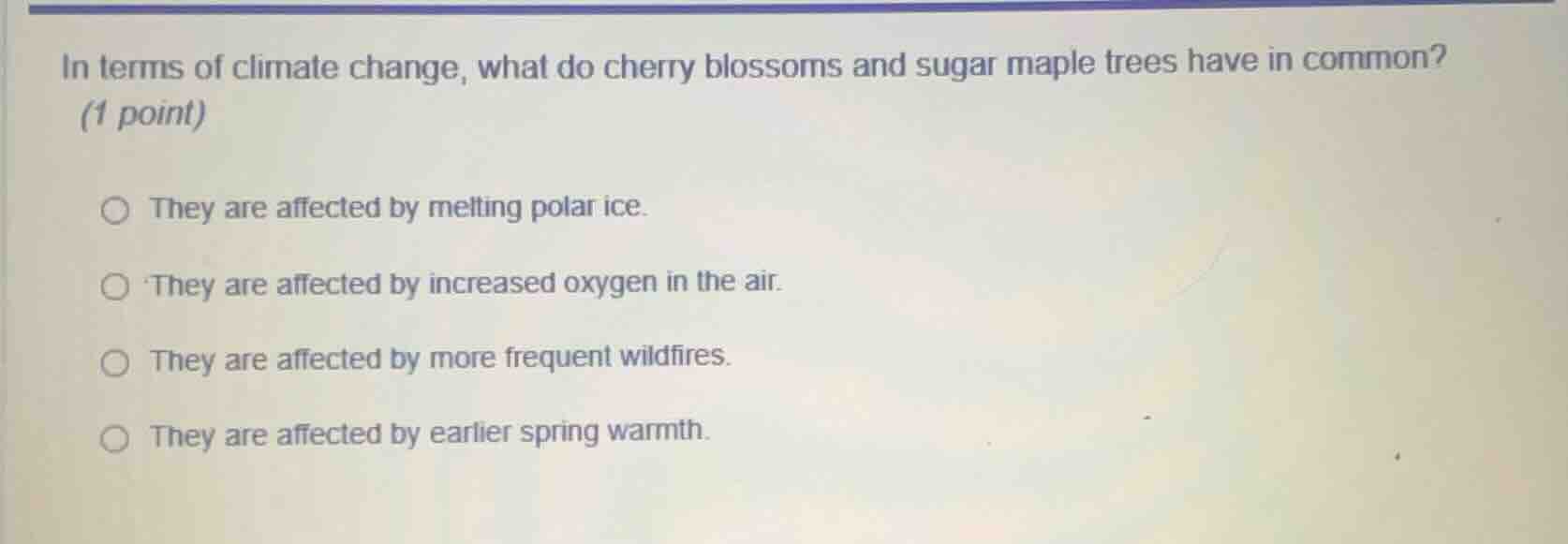 in terms of climate change, what do cherry blossoms and sugar maple tre…