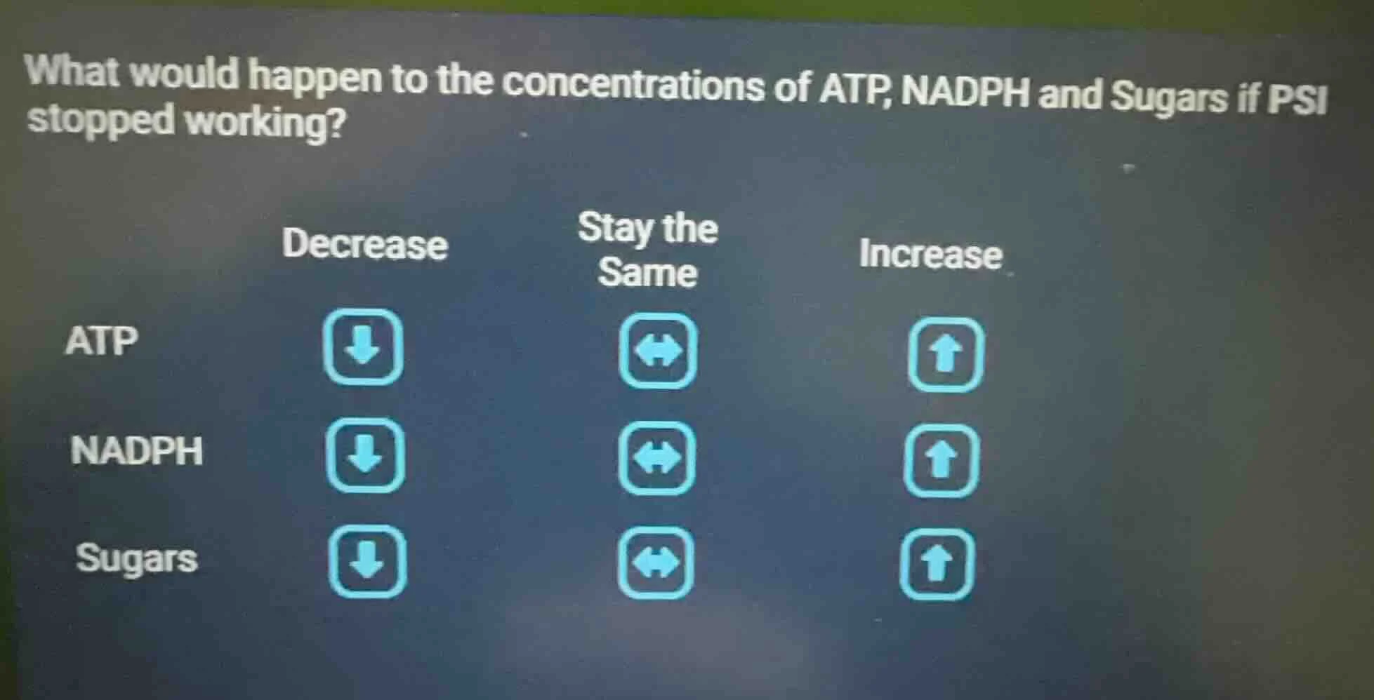 what would happen to the concentrations of atp, nadph and sugars if psi…