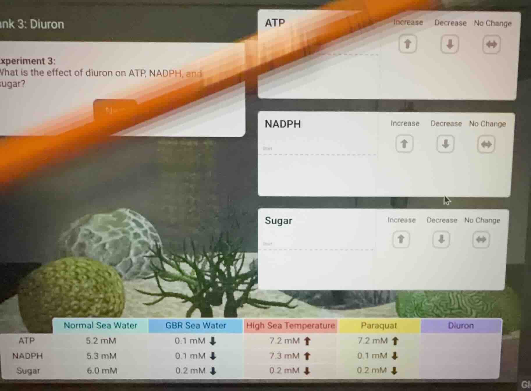 ank 3: diuron experiment 3: what is the effect of diuron on atp, nadph,…