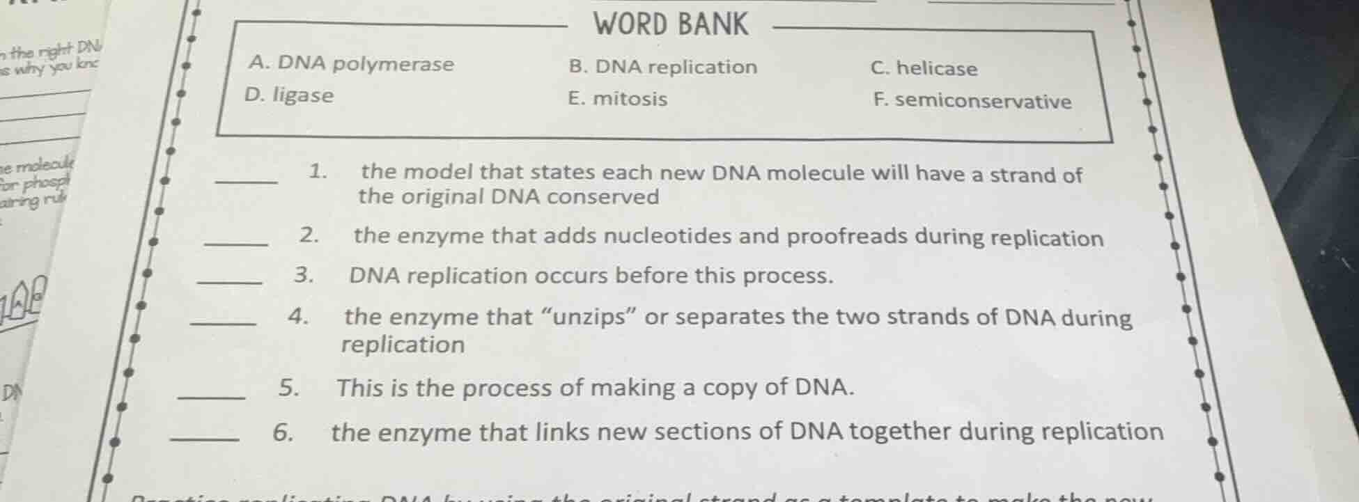word bank a. dna polymerase b. dna replication c. helicase d. ligase e.…
