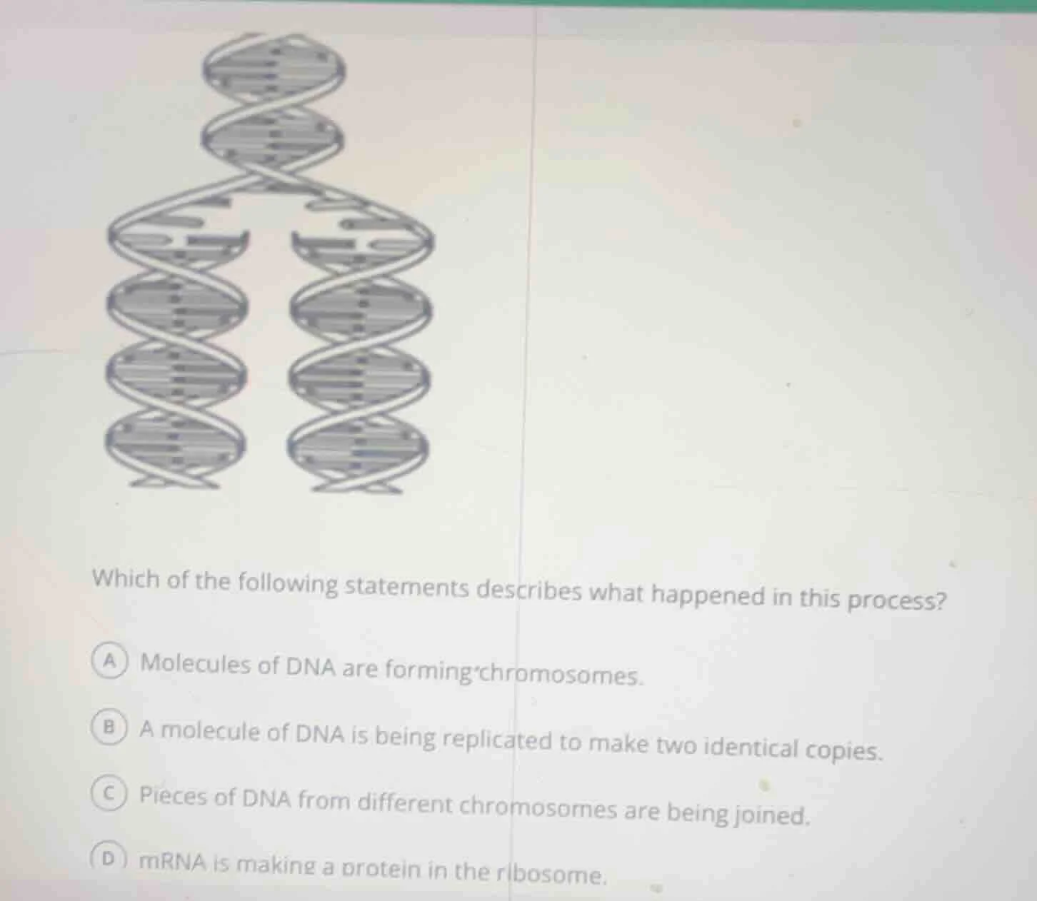 which of the following statements describes what happened in this proce…