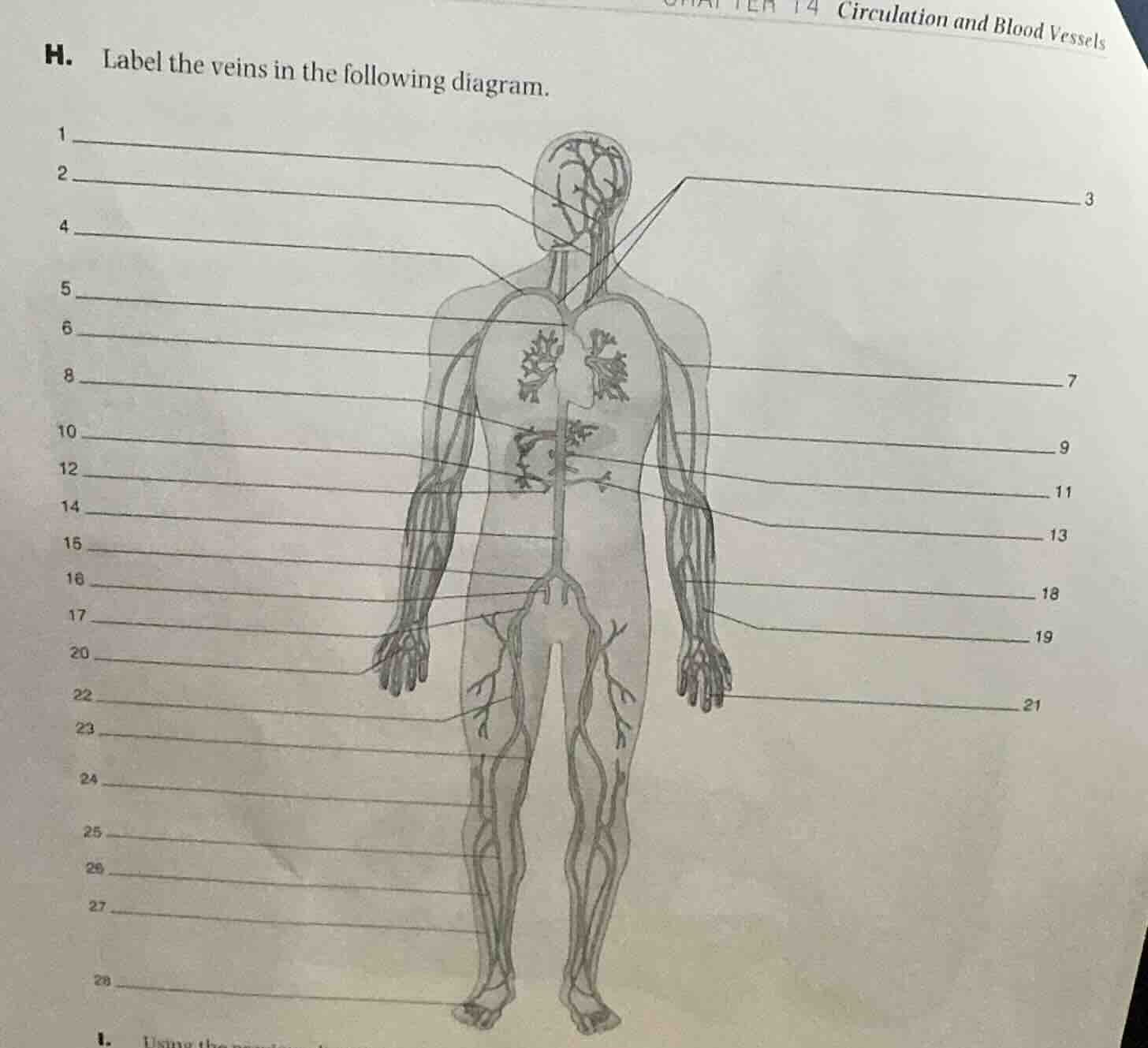 h. label the veins in the following diagram. 1 ______ 2 ______ 4 ______…
