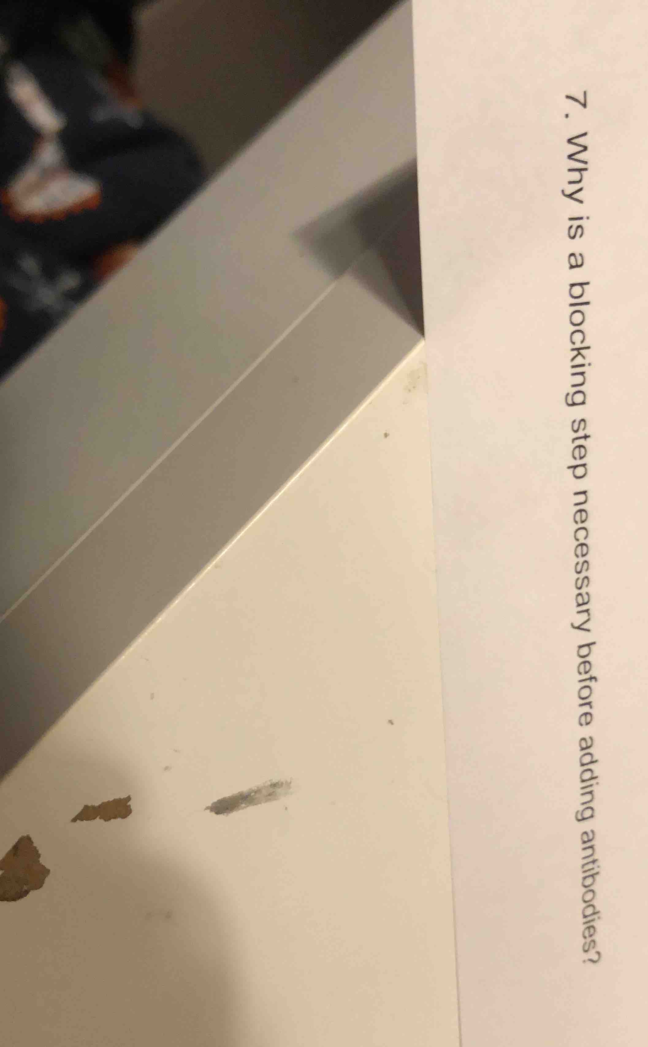 7. why is a blocking step necessary before adding antibodies?