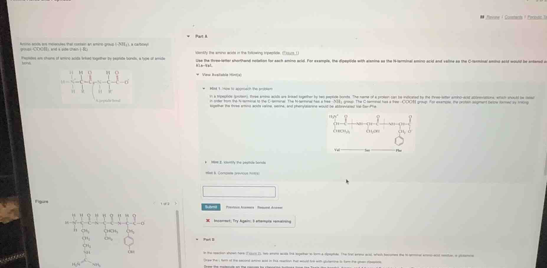 amino acids are molecules that contain an amino group (-nh₂), a carboxy…