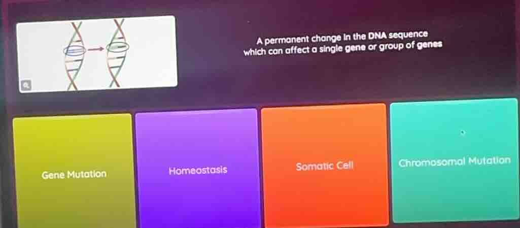 a permanent change in the dna sequence which can affect a single gene o…