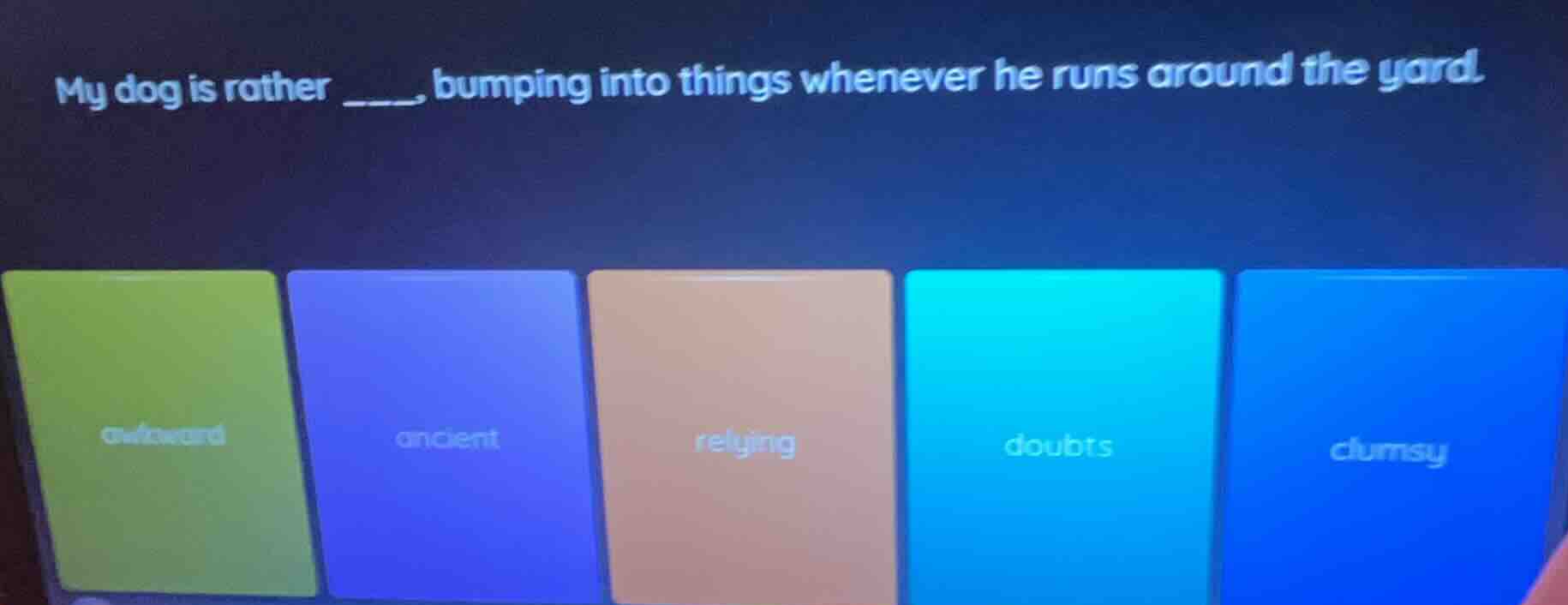 my dog is rather ____, bumping into things whenever he runs around the …