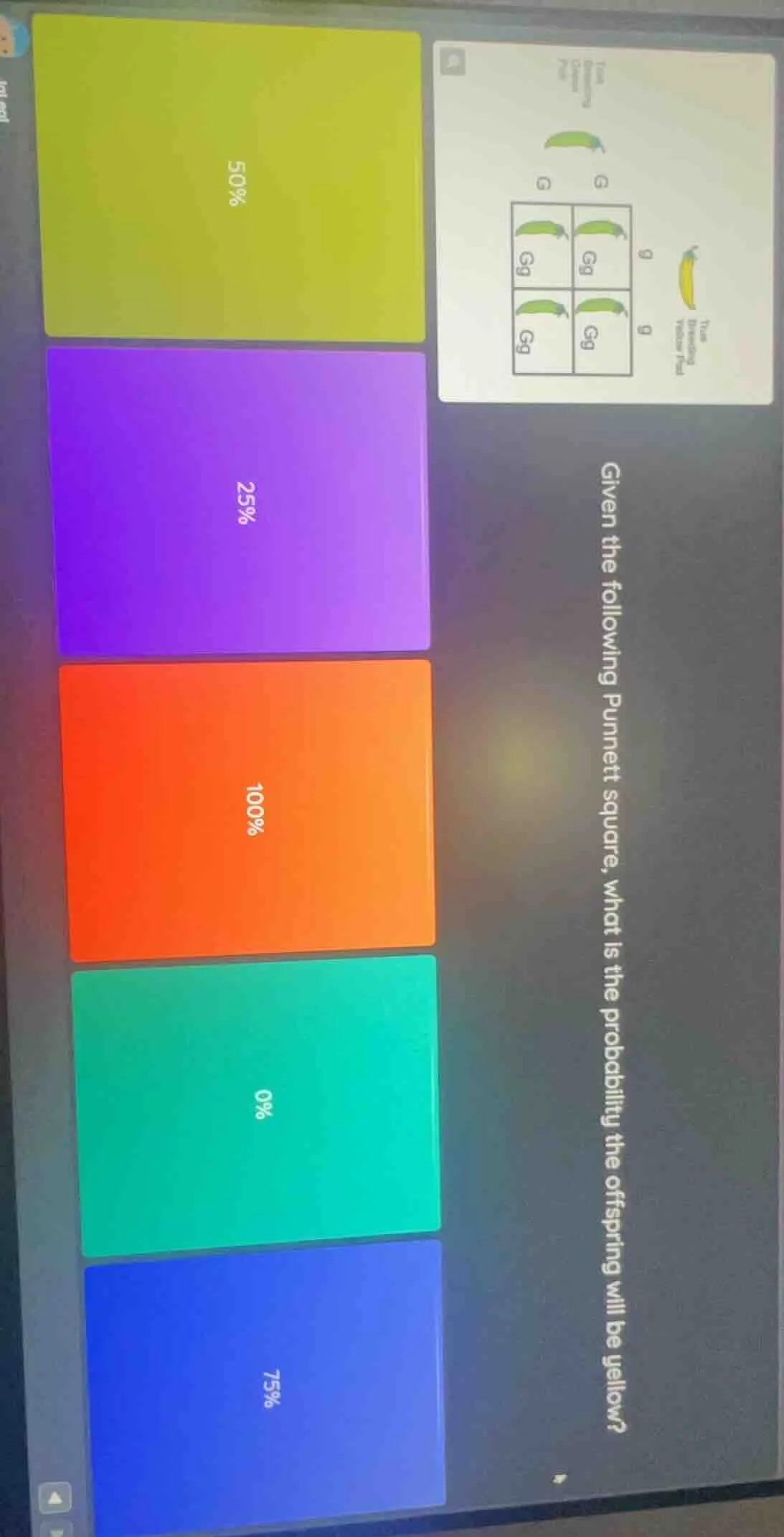 given the following punnett square, what is the probability the offspri…