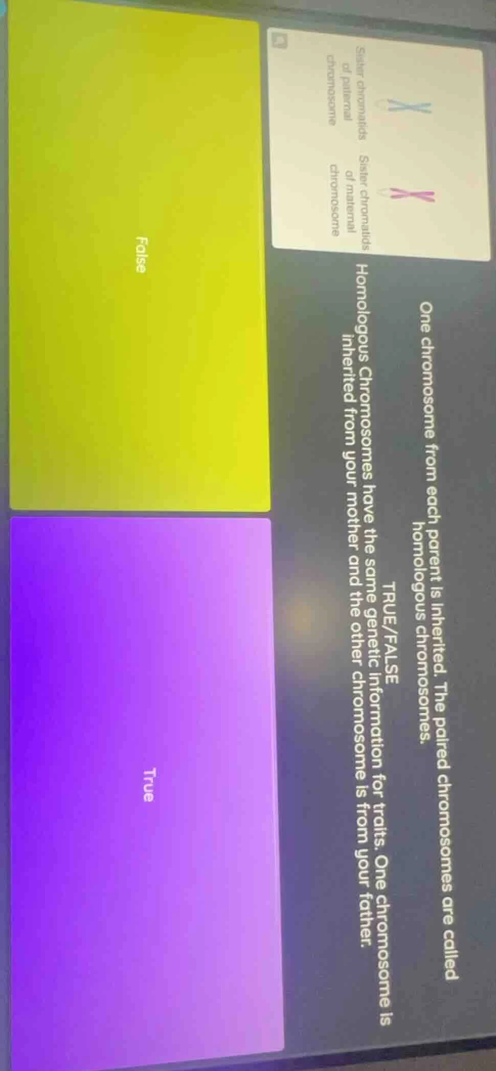 one chromosome from each parent is inherited. the paired chromosomes ar…