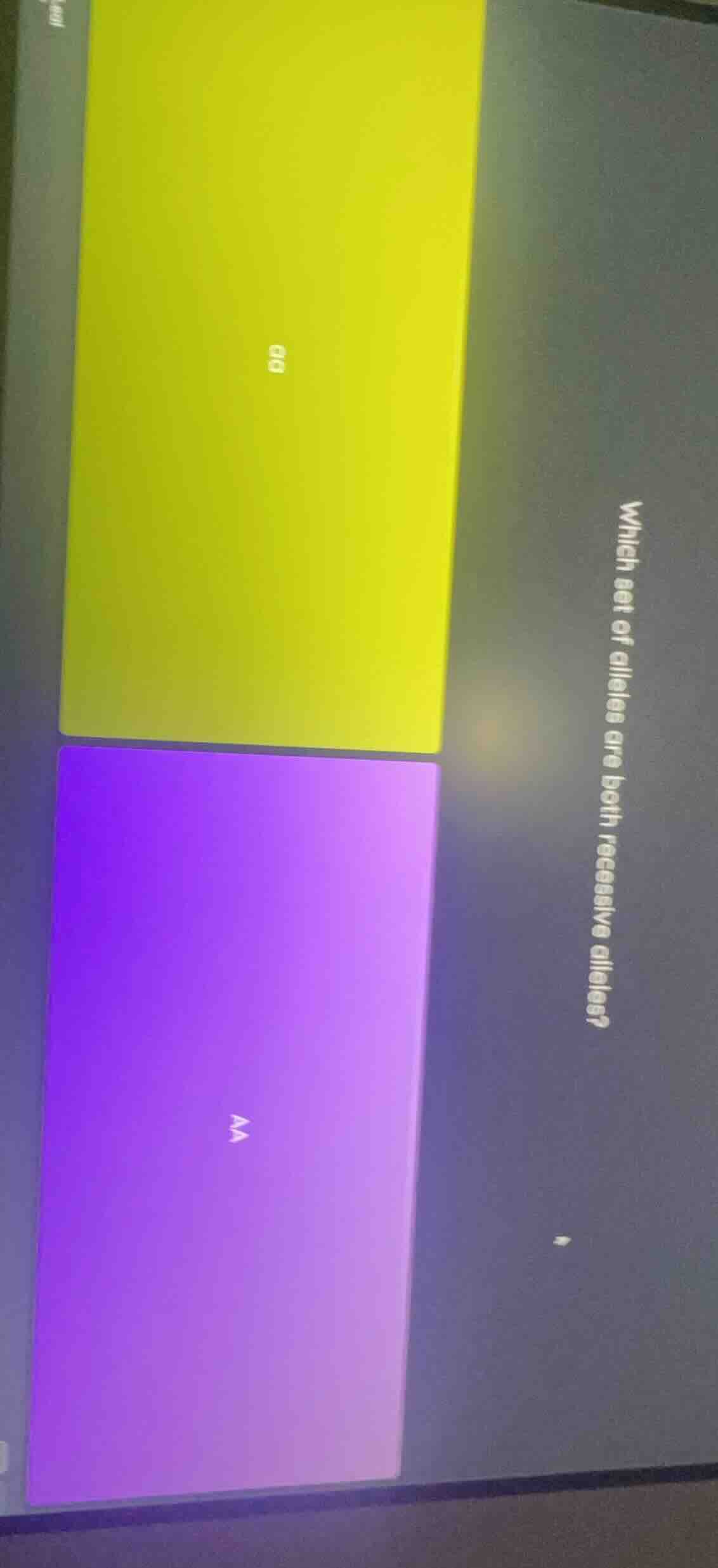 which set of alleles are both recessive alleles?