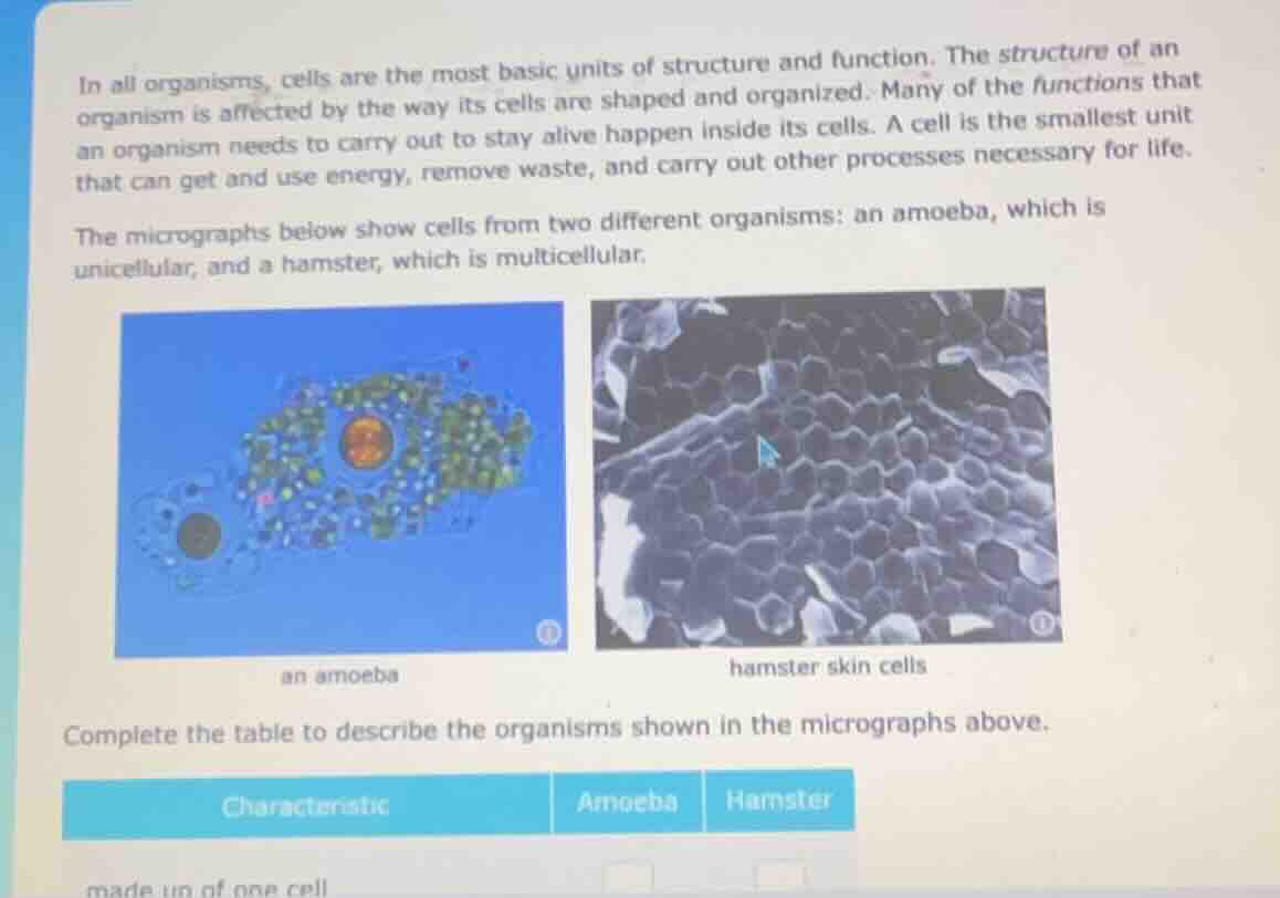 in all organisms, cells are the most basic units of structure and funct…