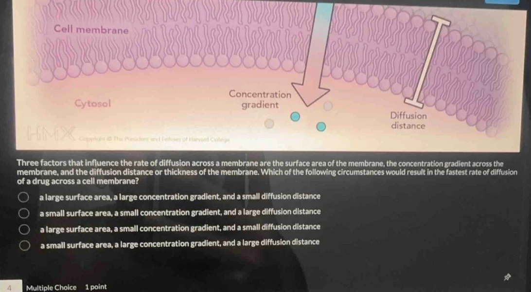 three factors that influence the rate of diffusion across a membrane ar…
