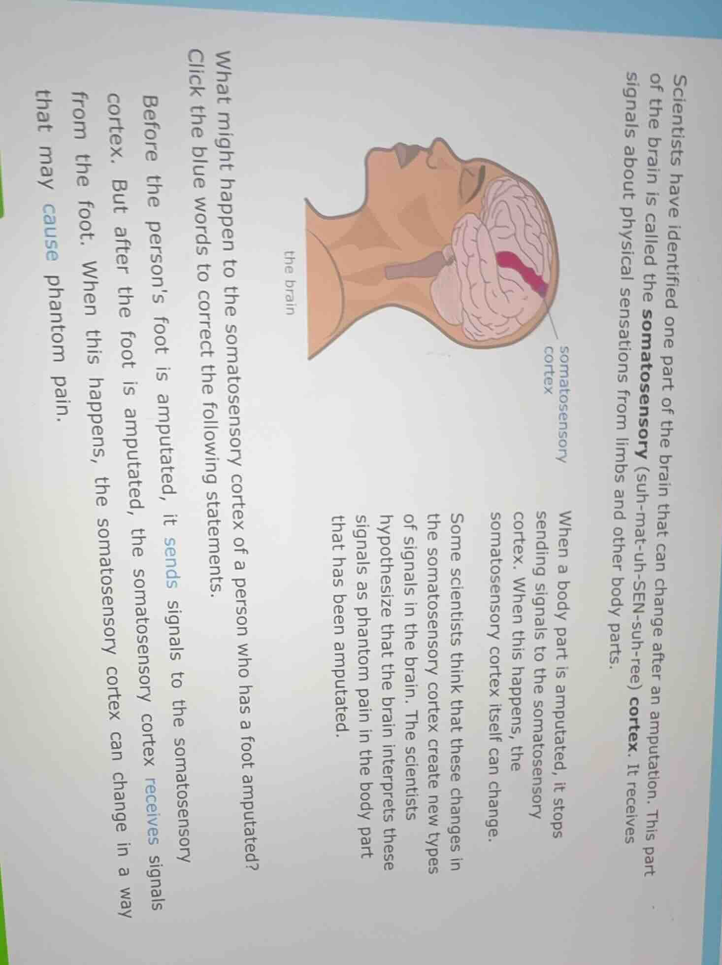 scientists have identified one part of the brain that can change after …