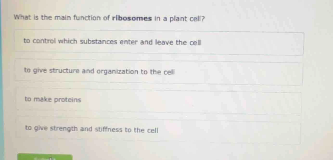 what is the main function of ribosomes in a plant cell? to control whic…