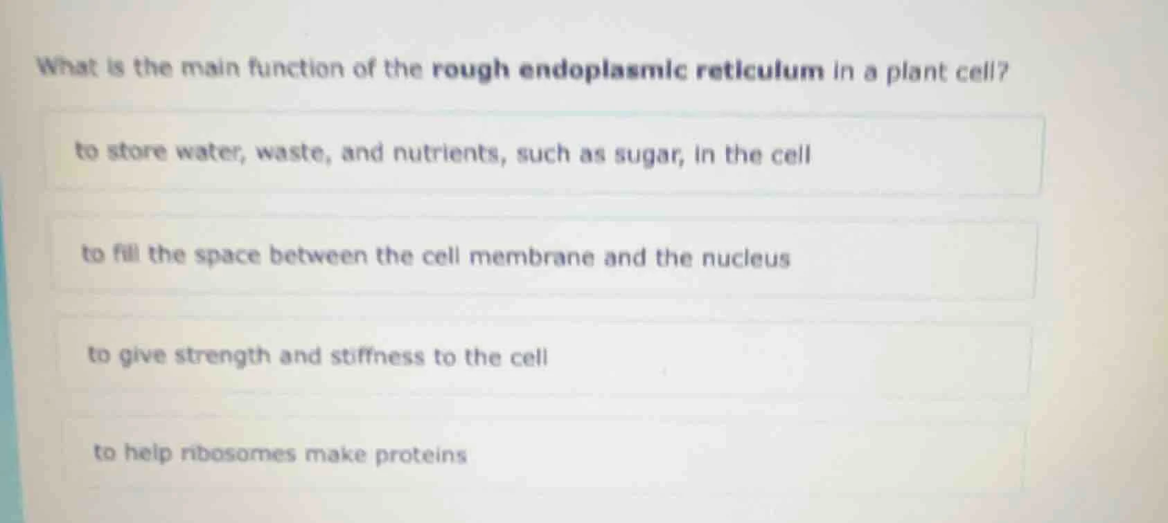 what is the main function of the rough endoplasmic reticulum in a plant…