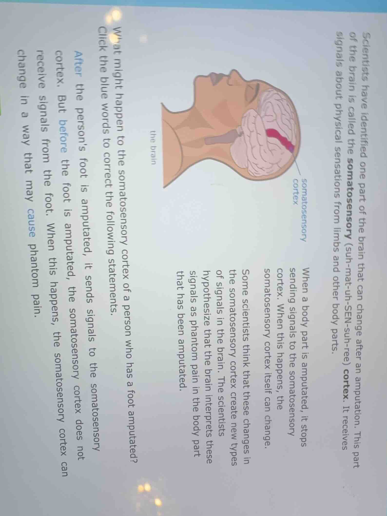 scientists have identified one part of the brain that can change after …