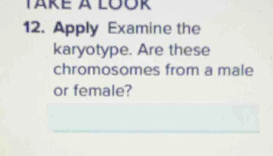 12. apply examine the karyotype. are these chromosomes from a male or f…