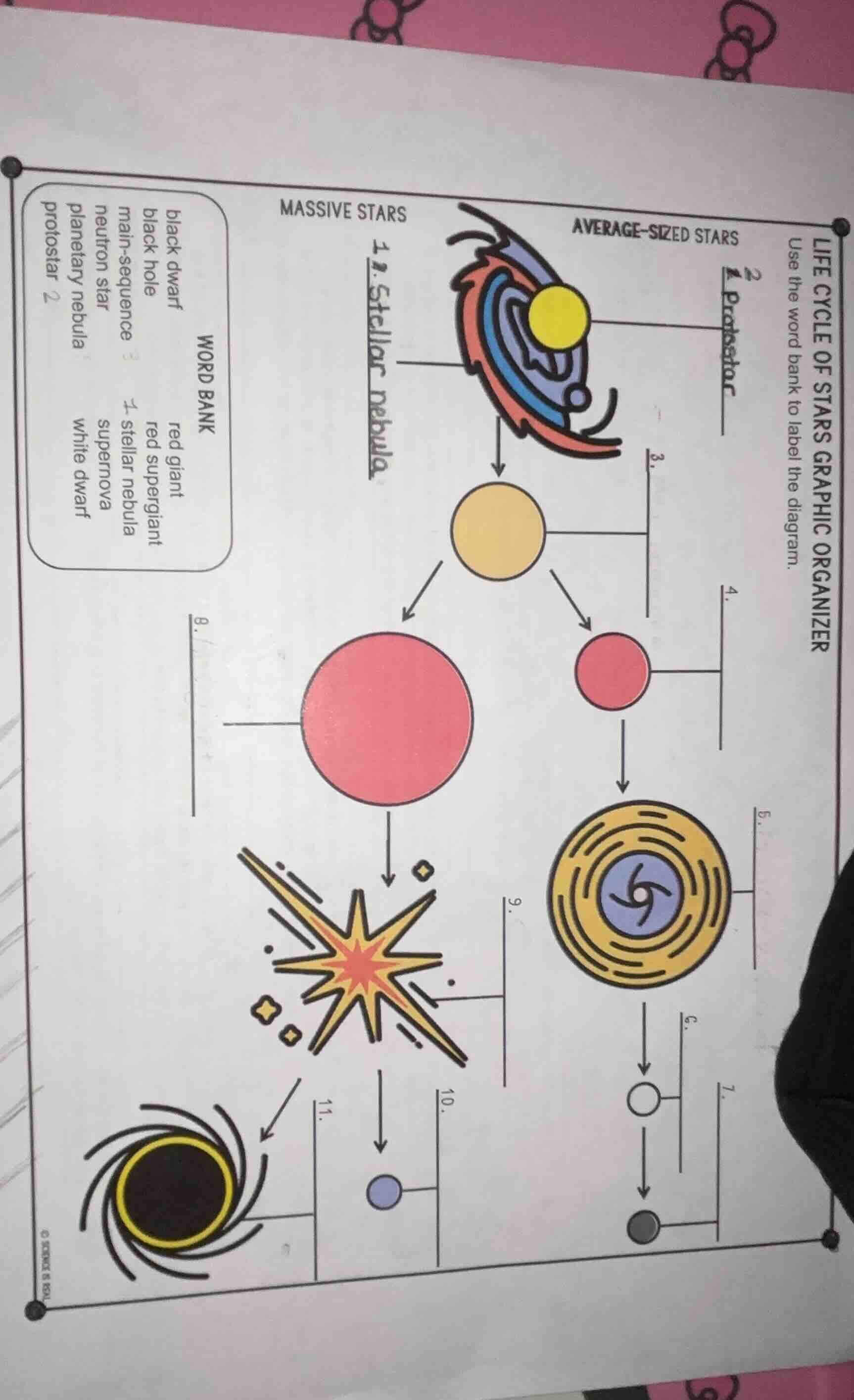 life cycle of stars graphic organizer use the word bank to label the di…
