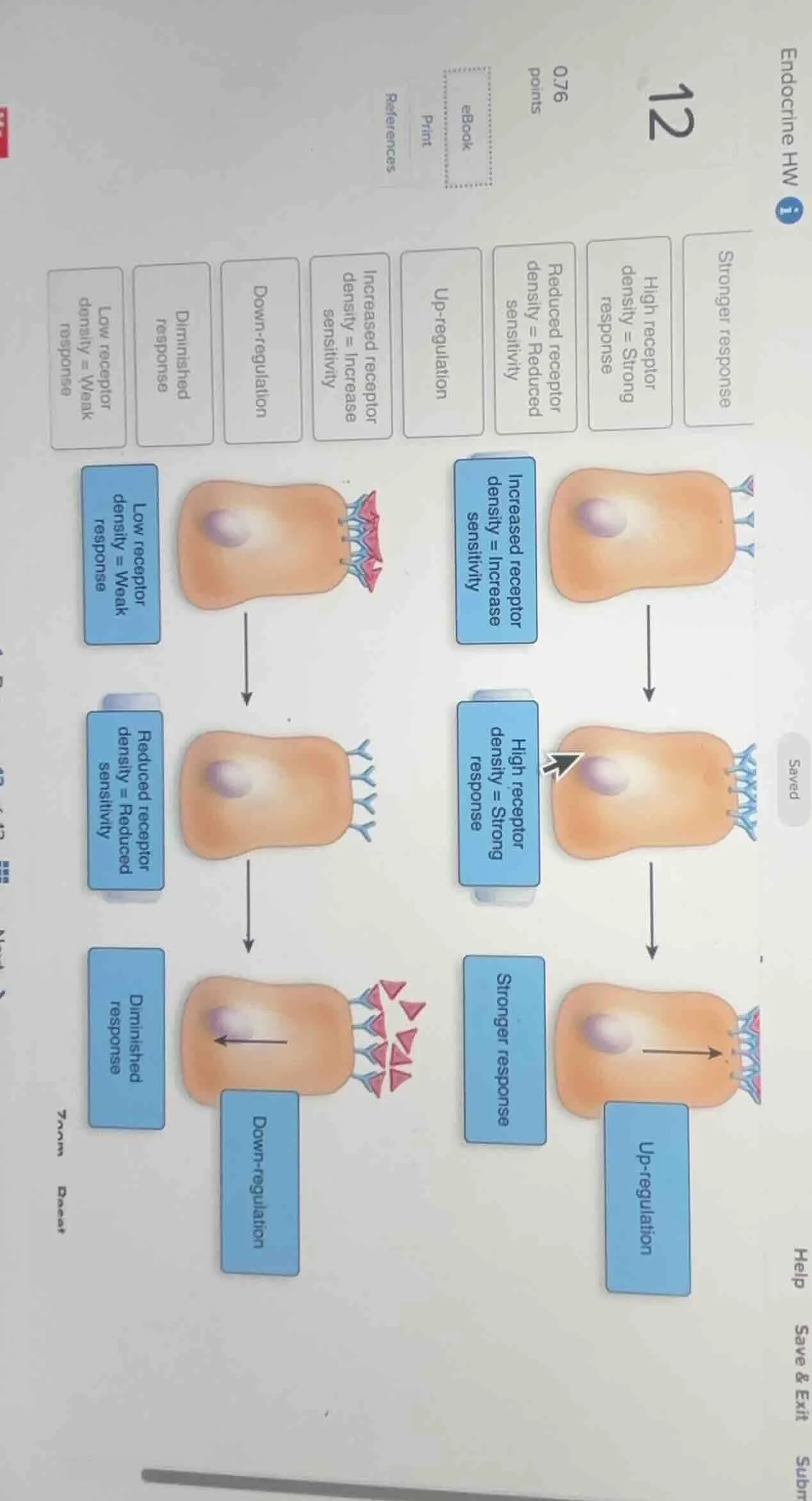 endocrine hw 12 0.76 points ebook print references stronger response hi…