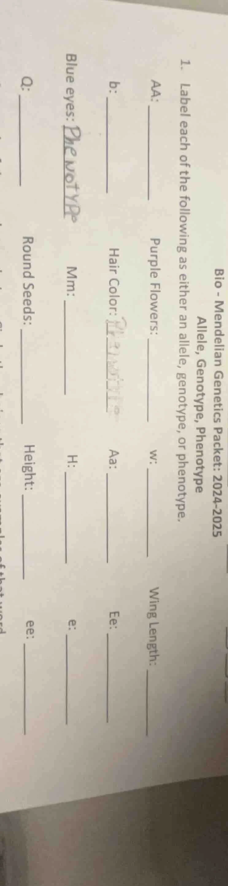 bio - mendelian genetics packet: 2024 - 2025 allele, genotype, phenotyp…