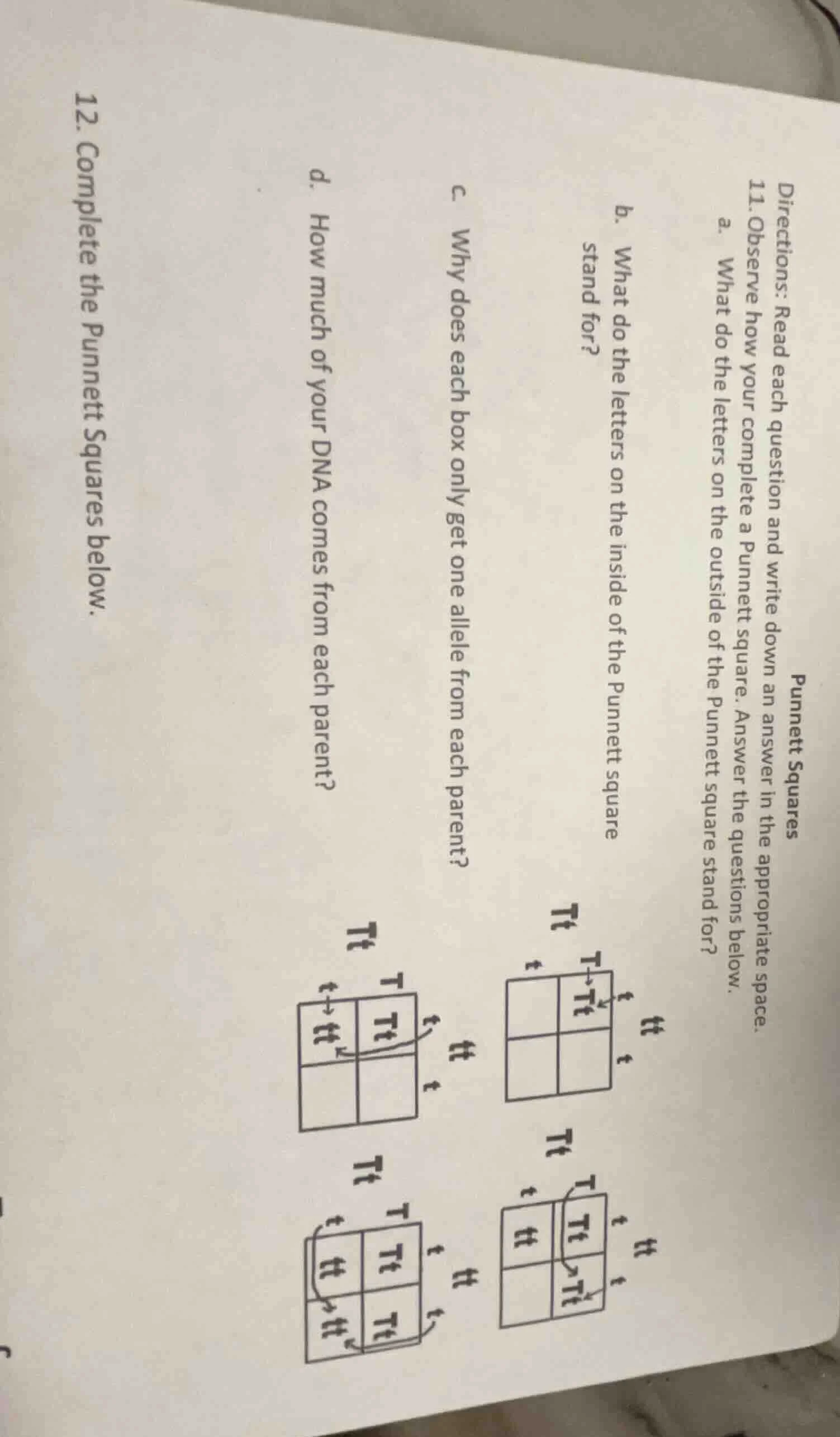 directions: read each question and write down an answer in the appropri…