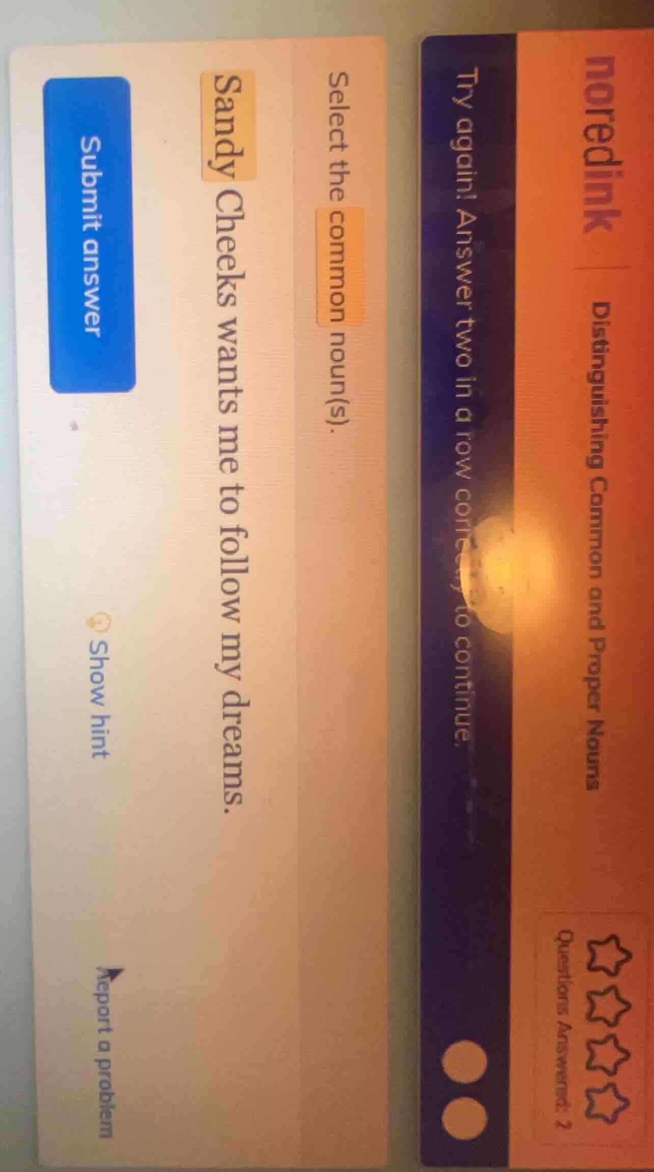 select the common noun(s). sandy cheeks wants me to follow my dreams. s…