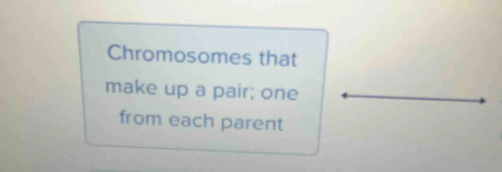 chromosomes that make up a pair; one from each parent