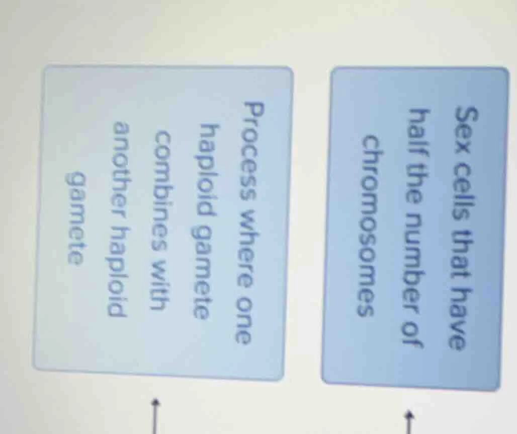 sex cells that have half the number of chromosomes;process where one ha…