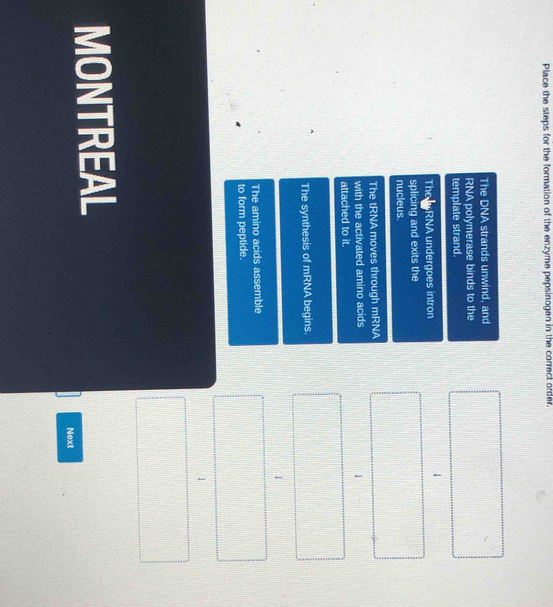 place the steps for the formation of the enzyme pepsinogen in the corre…
