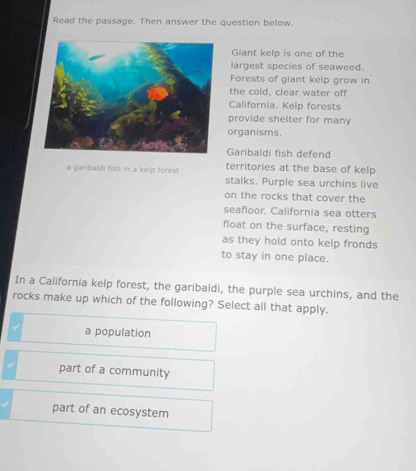 read the passage. then answer the question below. giant kelp is one of …