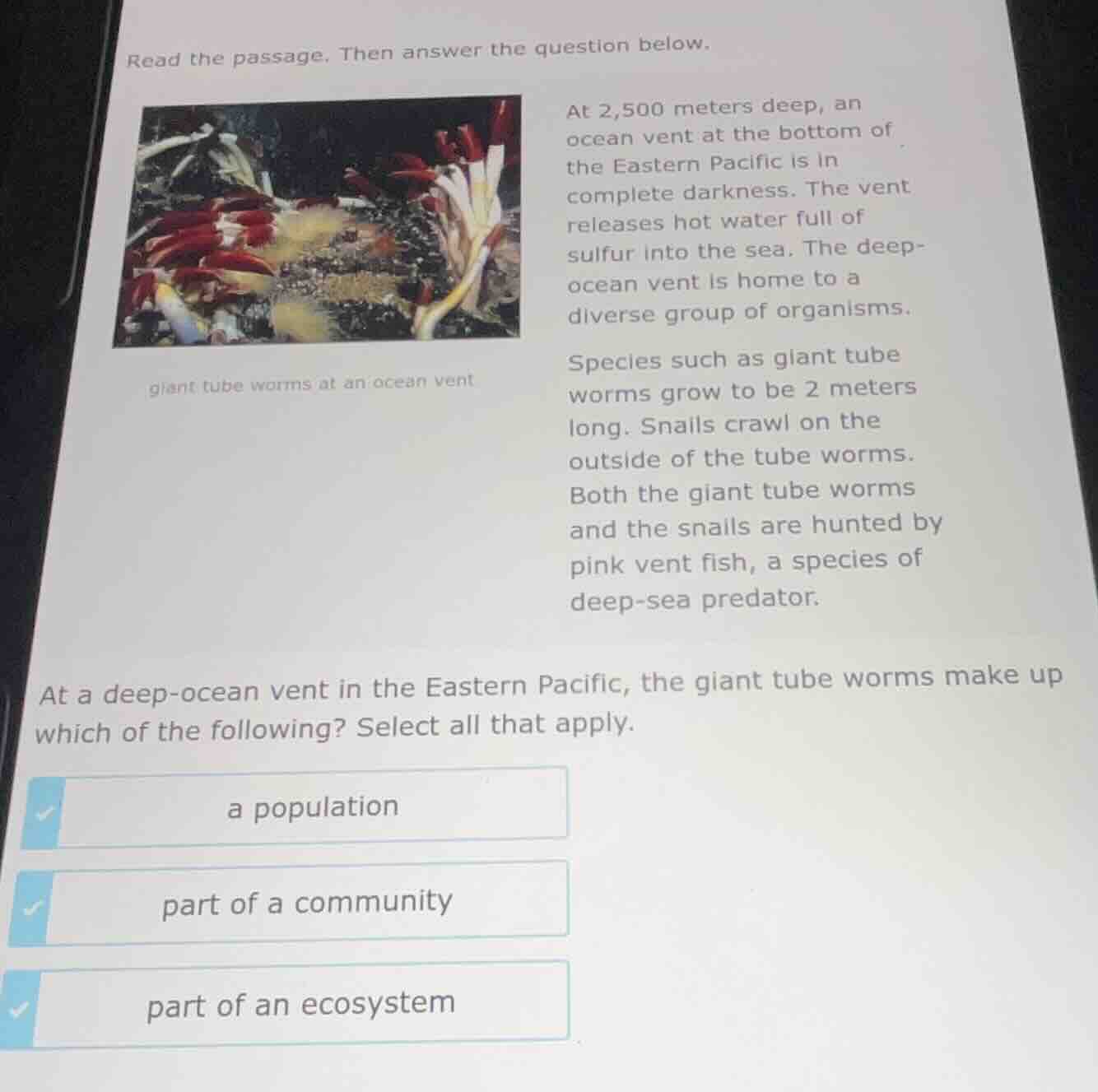 read the passage. then answer the question below. at 2,500 meters deep,…