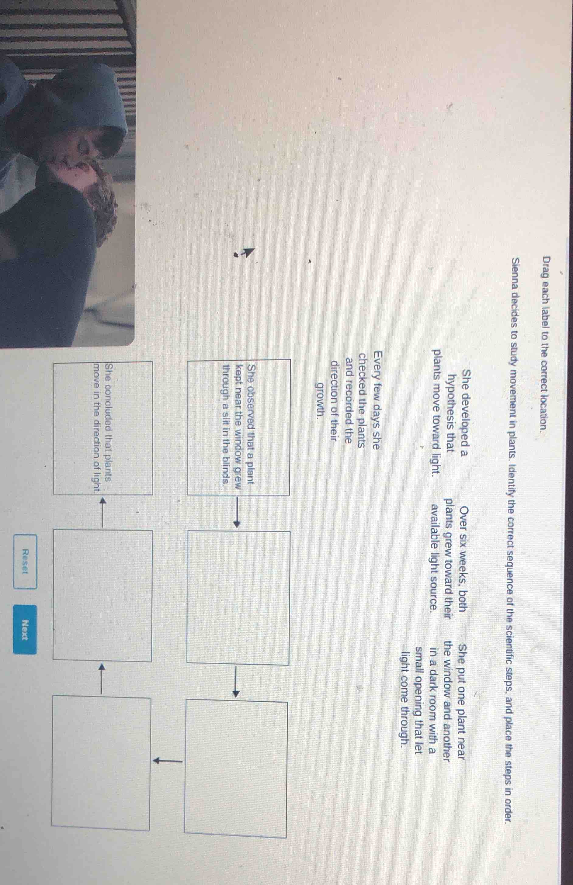 drag each label to the correct location. sienna decides to study moveme…