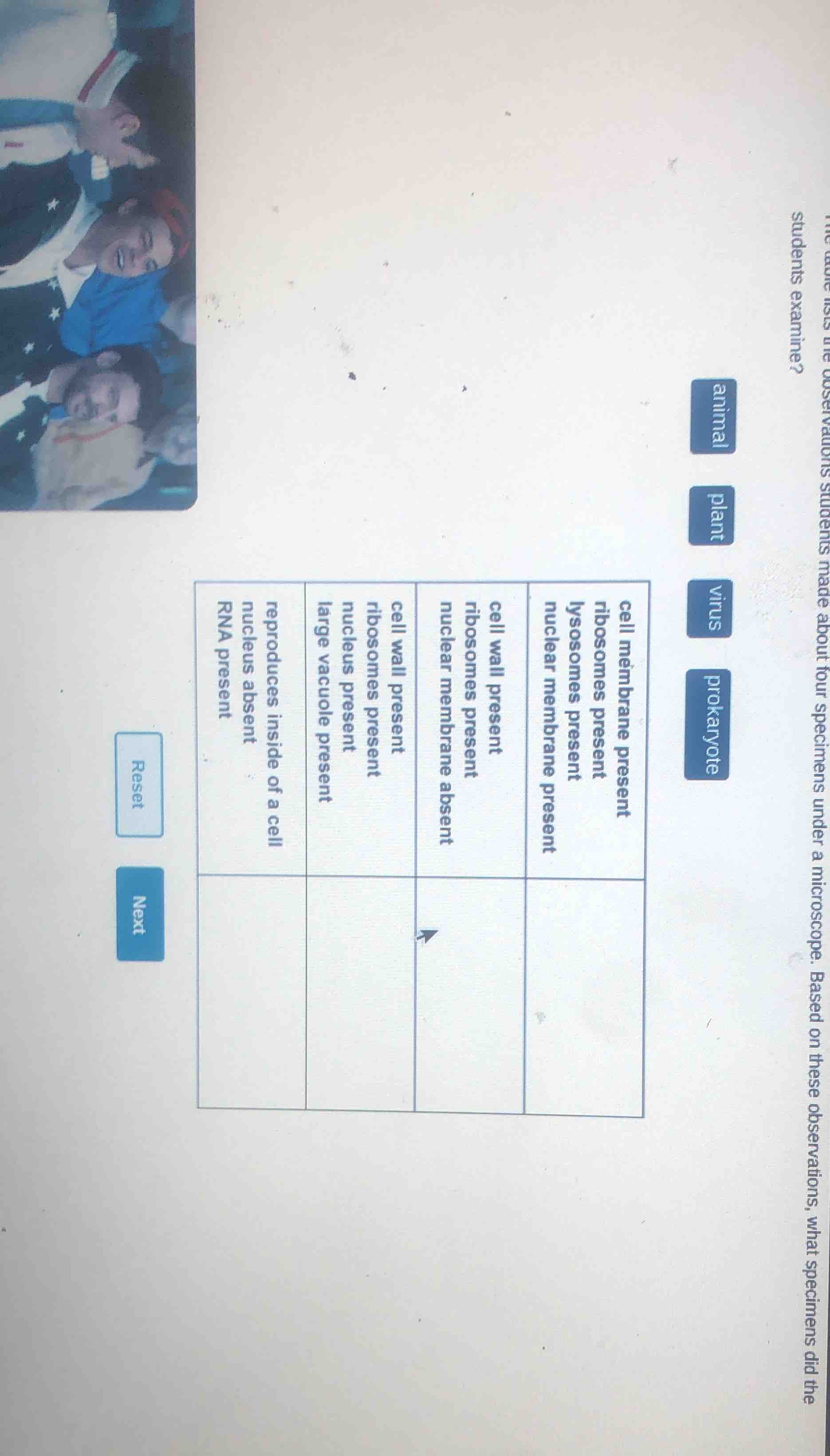 the table lists the observations students made about four specimens und…