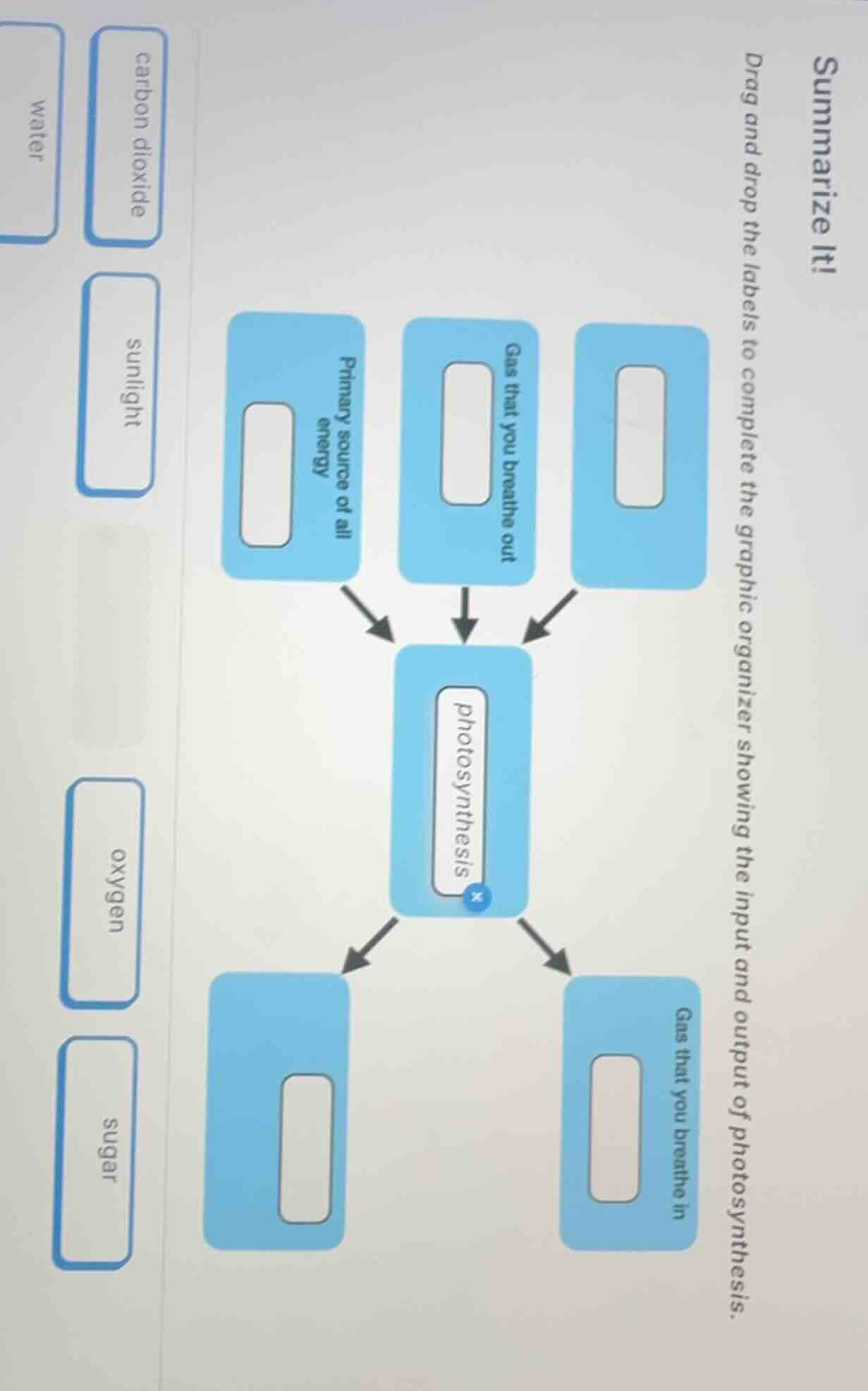 summarize it! drag and drop the labels to complete the graphic organize…