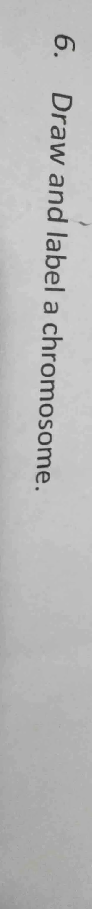 6. draw and label a chromosome.