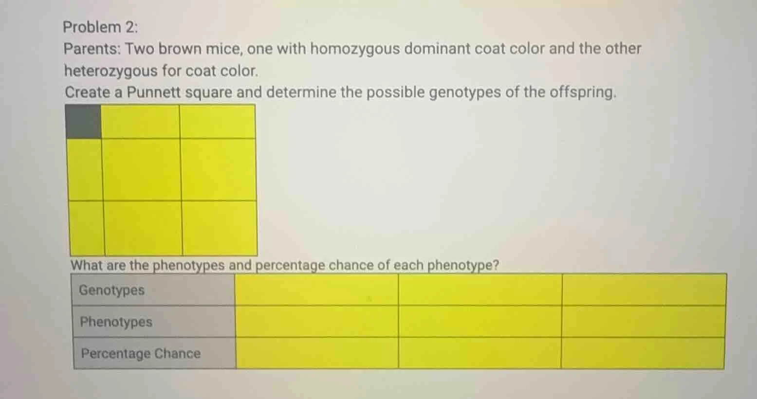 problem 2: parents: two brown mice, one with homozygous dominant coat c…