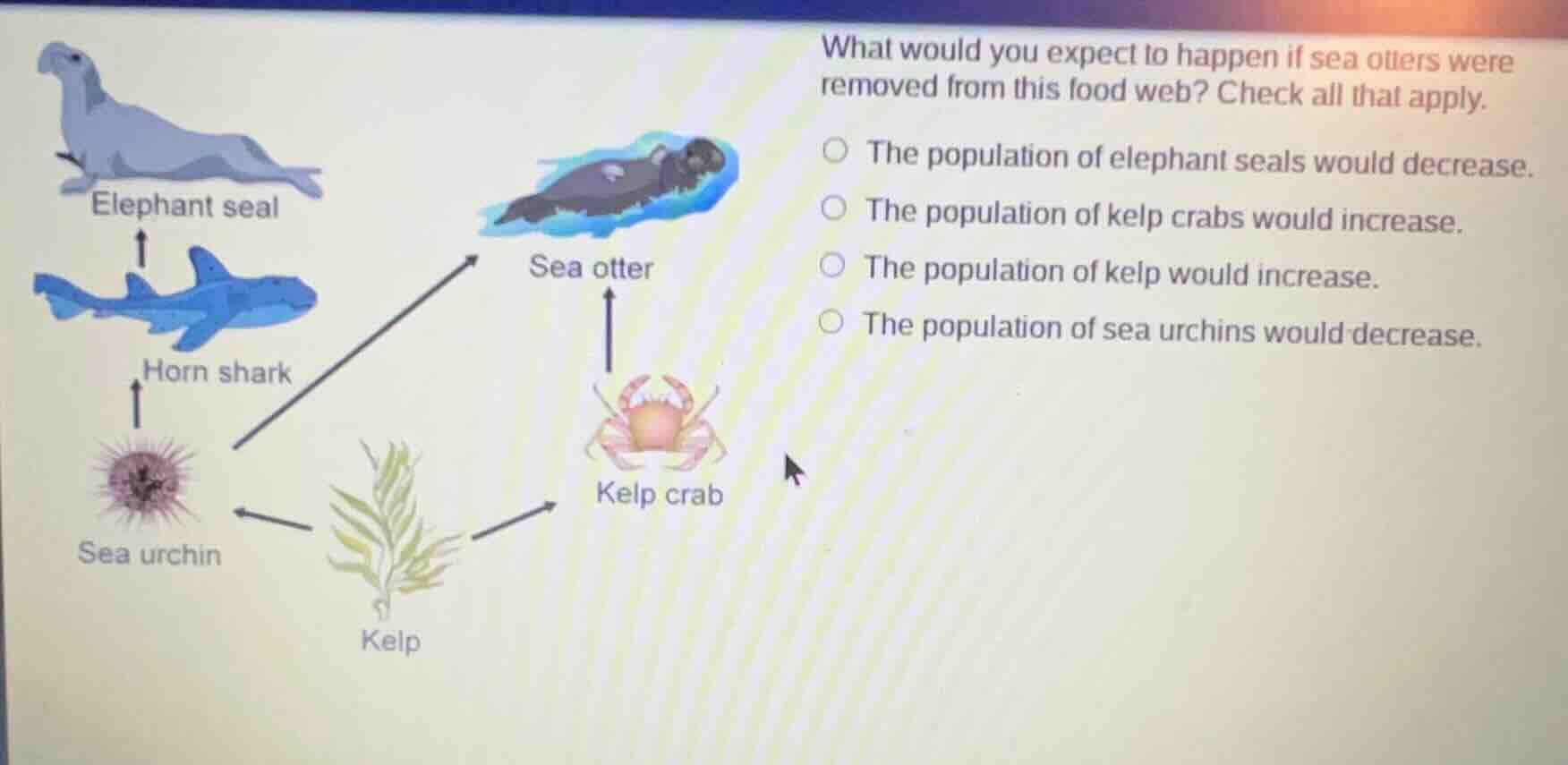 what would you expect to happen if sea otters were removed from this fo…
