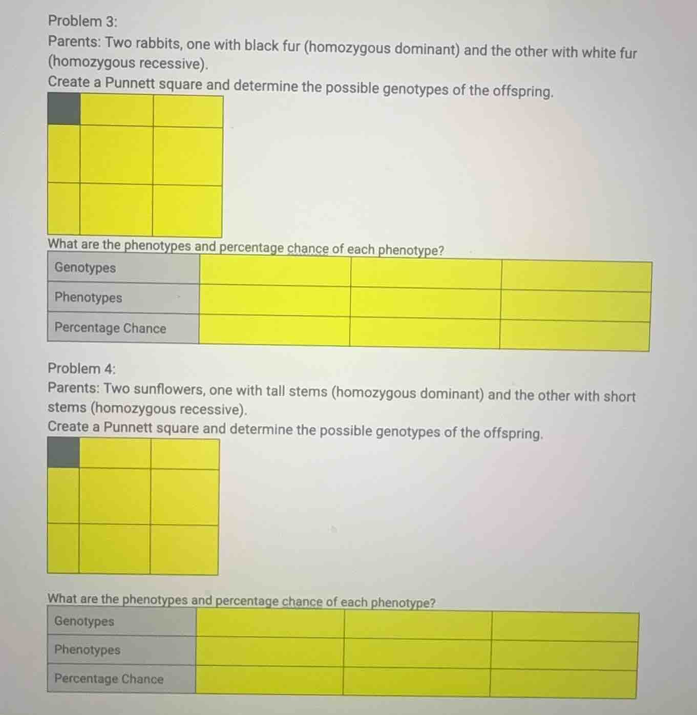 problem 3: parents: two rabbits, one with black fur (homozygous dominan…