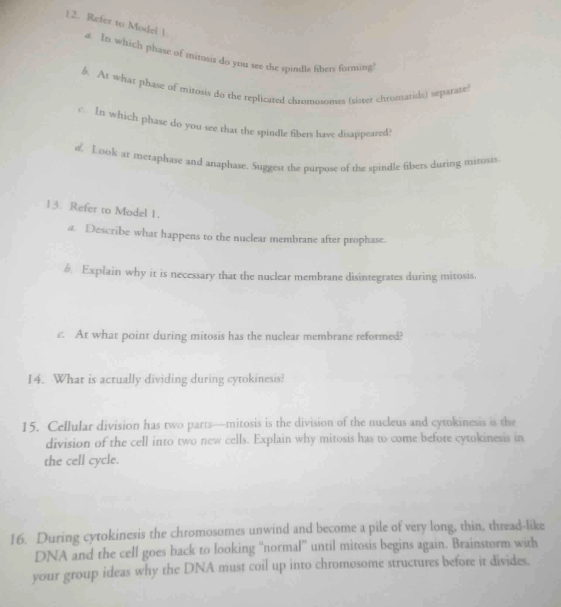 12. refer to model 1. a. in which phase of mitosis do you see the spind…