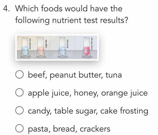 4. which foods would have the following nutrient test results? beef, pe…