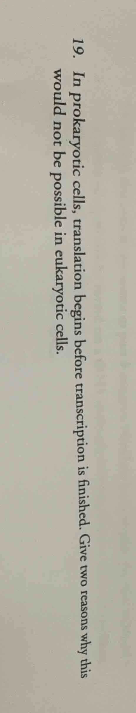 19. in prokaryotic cells, translation begins before transcription is fi…