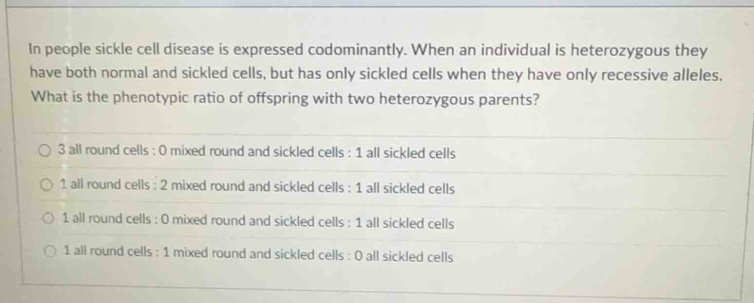 in people sickle cell disease is expressed codominantly. when an indivi…