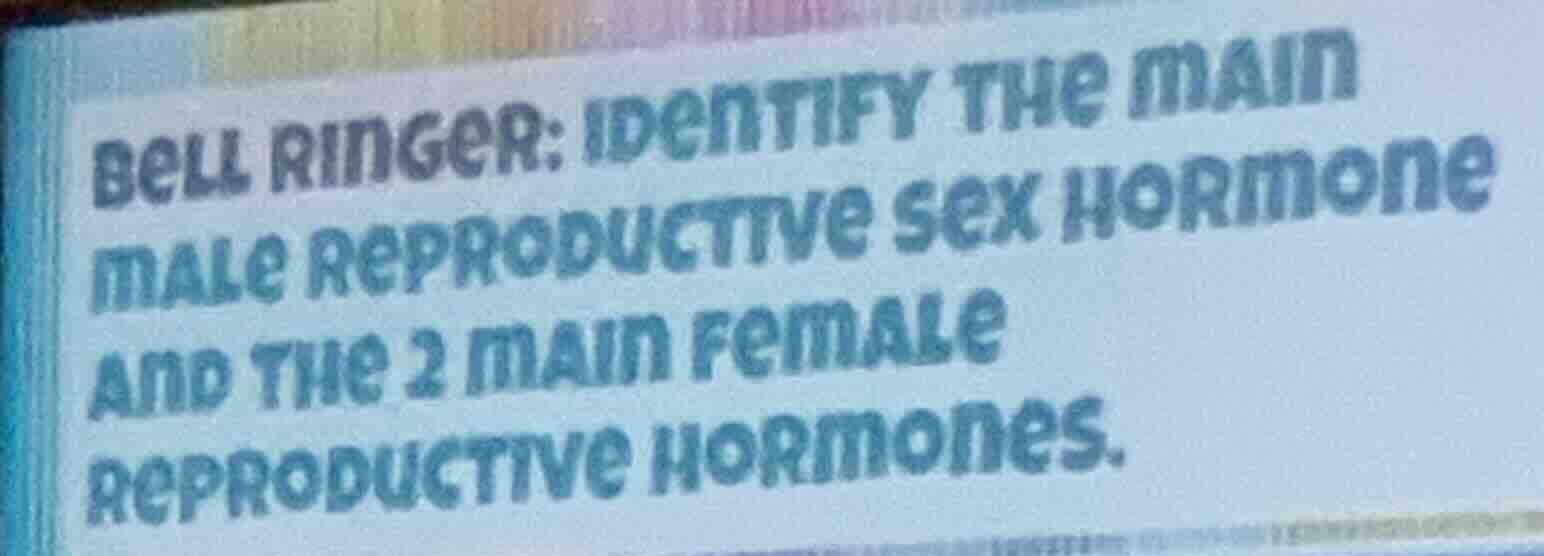 bell ringer: identify the main male reproductive sex hormone and the 2 …