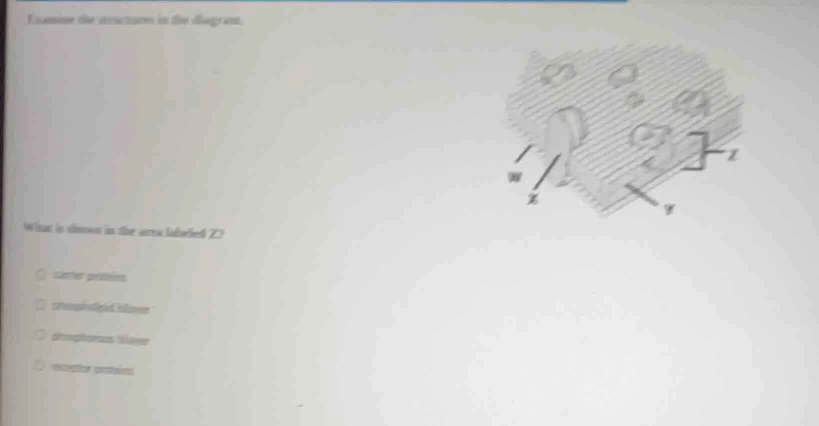 examine the structures in the diagram. what is shown in the area labele…