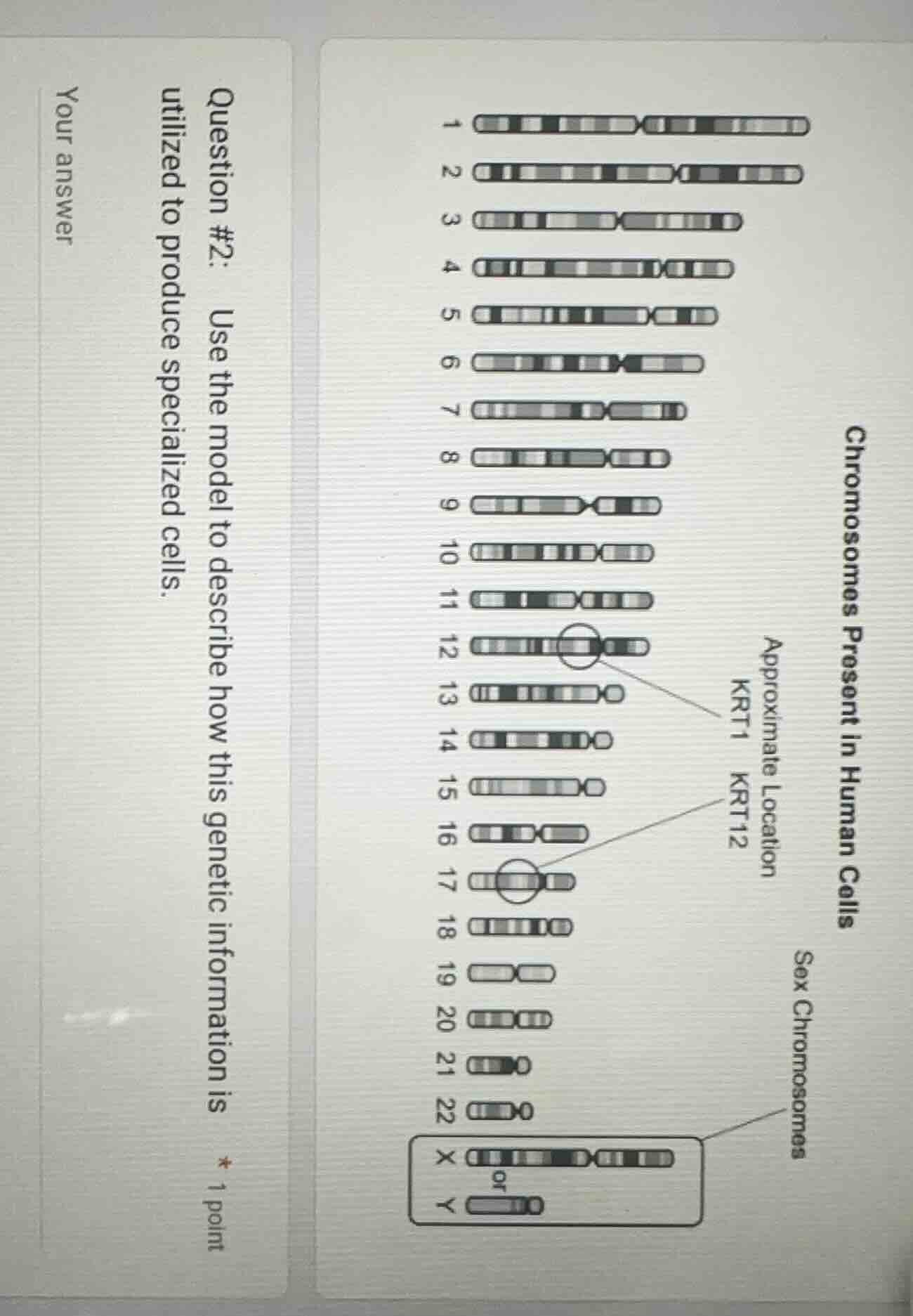 question #2: use the model to describe how this genetic information is …