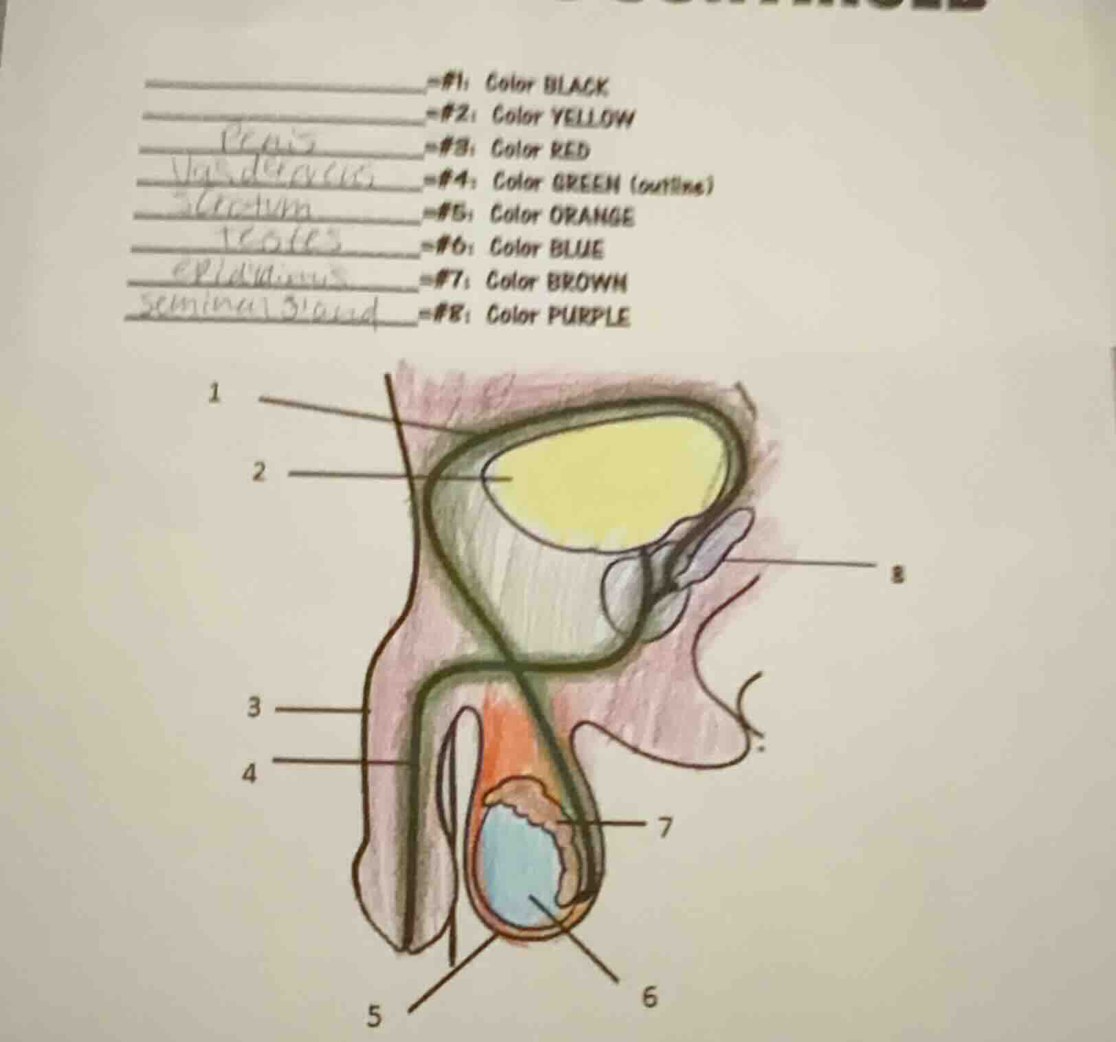 #1: color black #2: color yellow #3: color red #4: color green (outline…