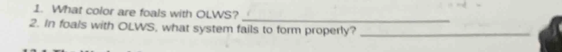 1. what color are foals with olws? 2. in foals with olws, what system f…